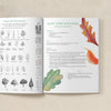 Seasons Afield K-3 Teacher Guide