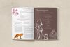 Seasons Afield Nature Study (K-3)
