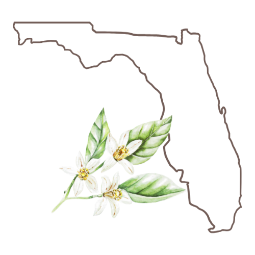 Outline of Florida with white flowers and green leaves inside