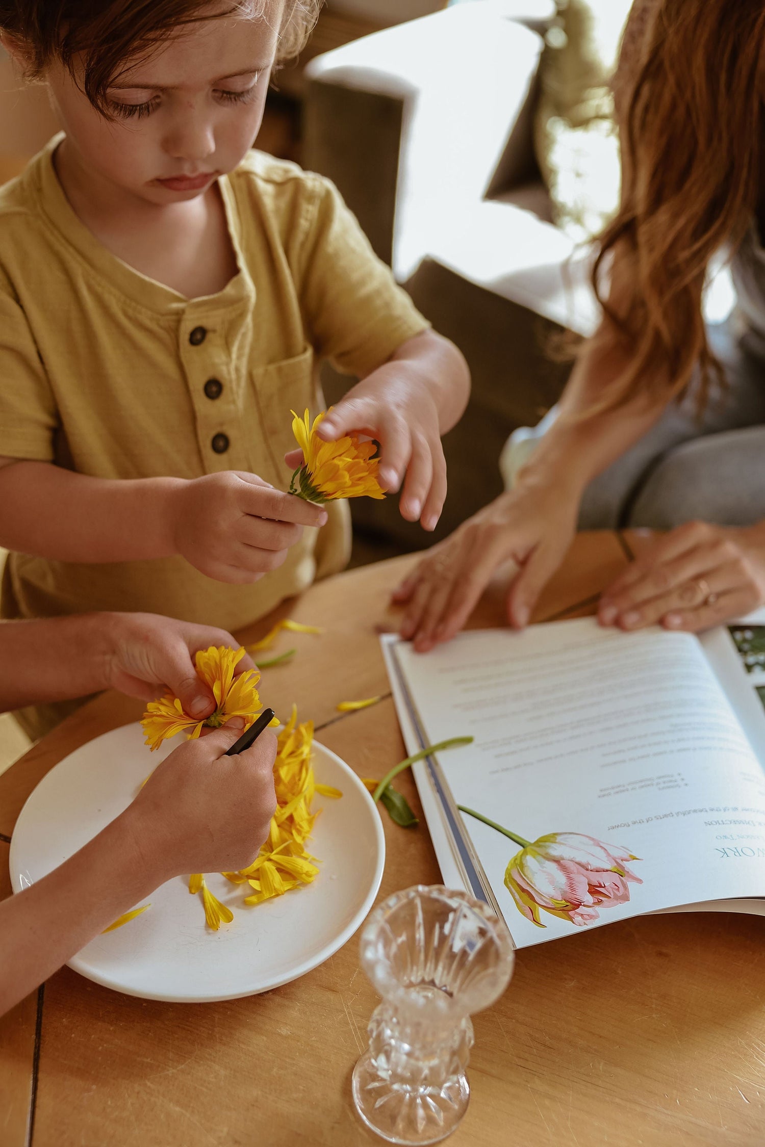 Building Resilience Through Story
