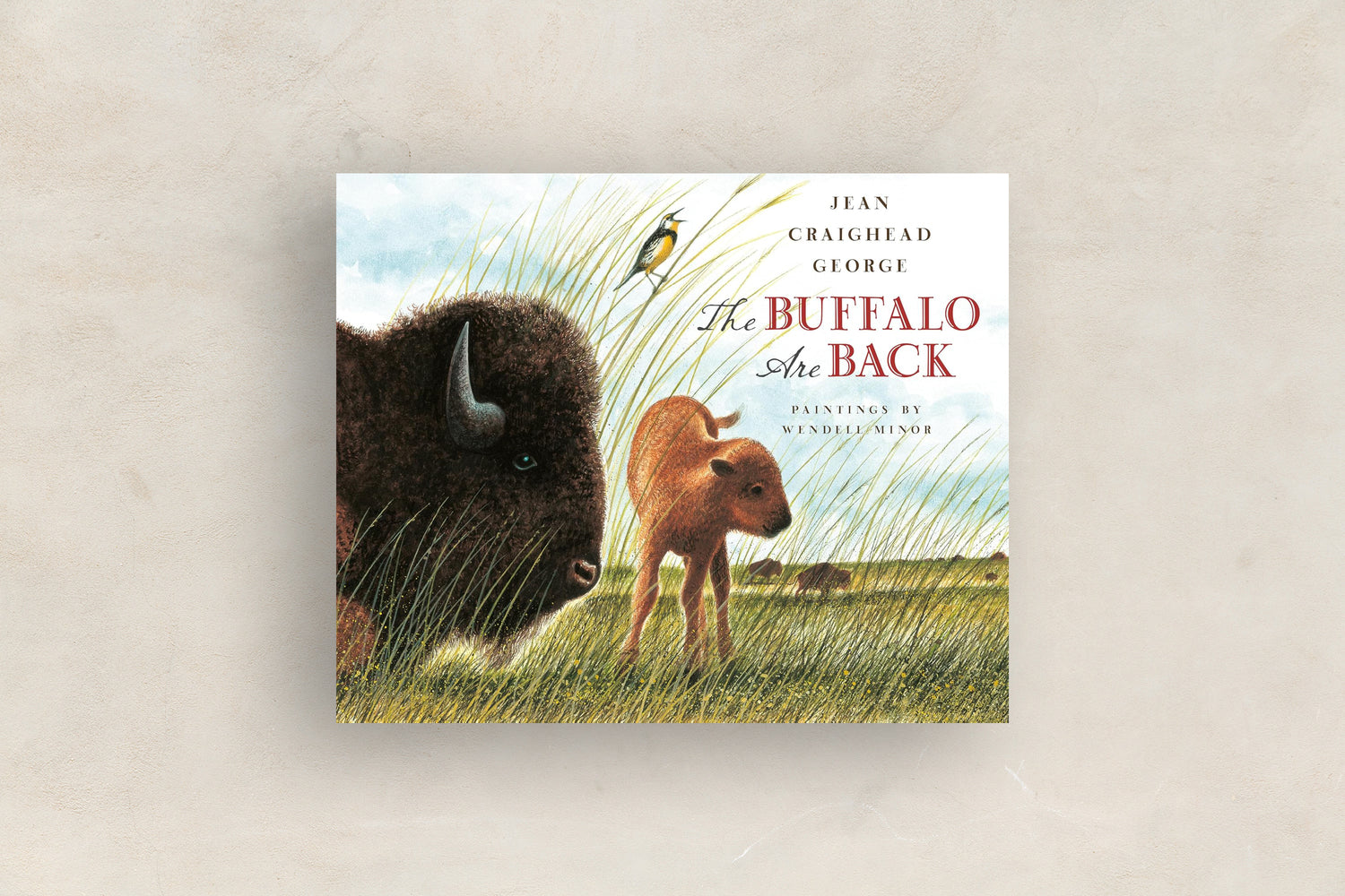 The Buffalo are Back