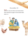 Christmas & Advent Story Collection