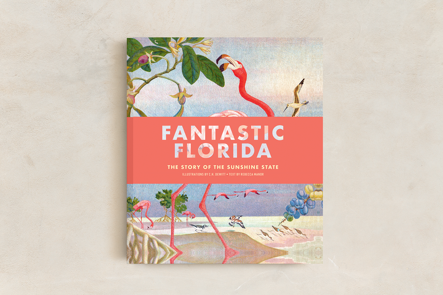 Florida History (4-6)