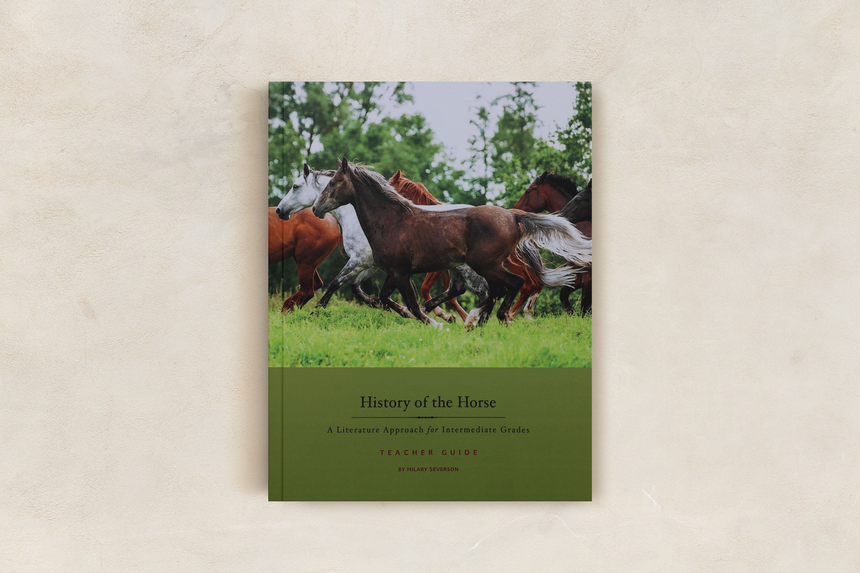 History of the Horse 3-6 Teacher Guide