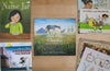 Charter School: Teaching Character K-3 Curriculum