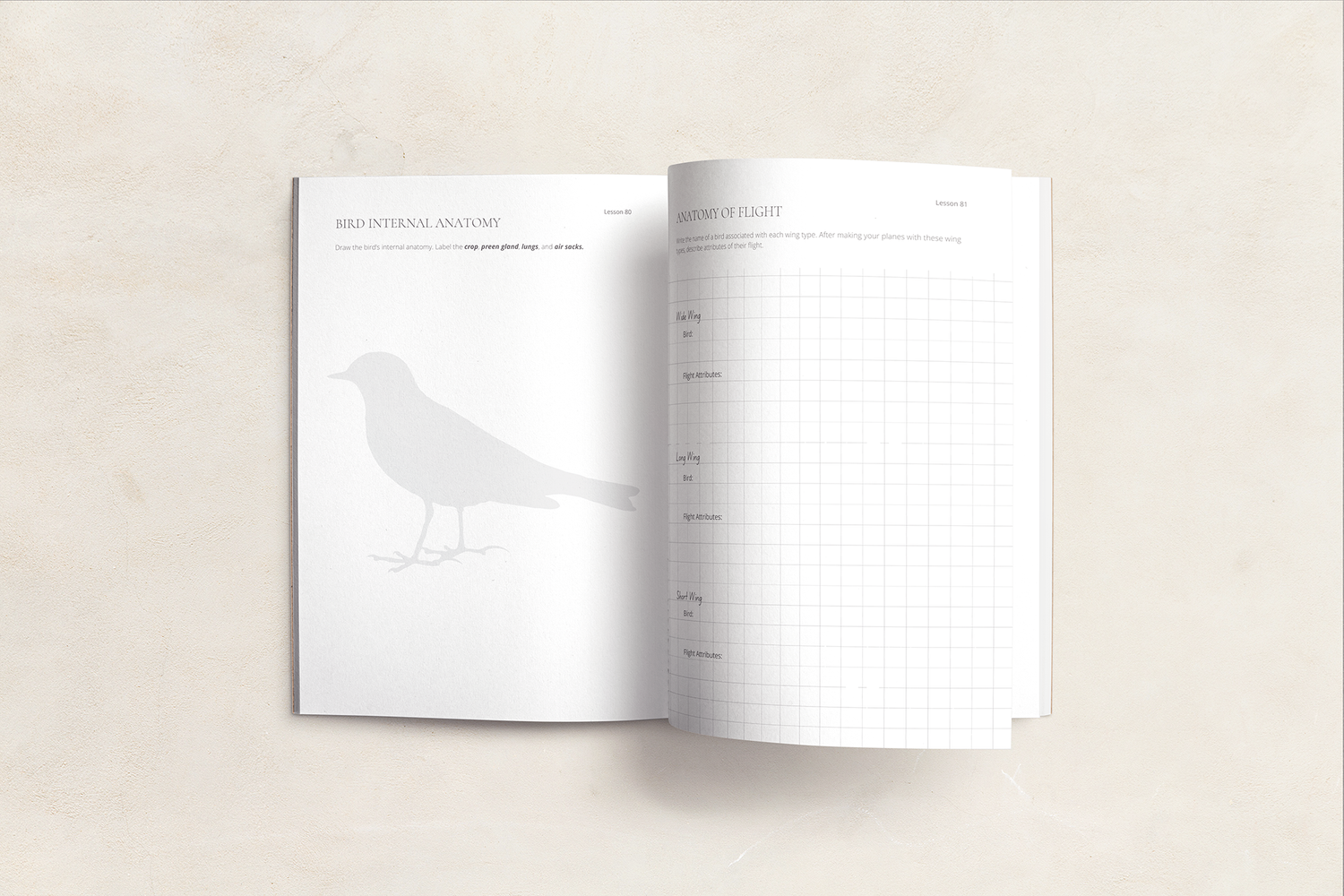 Far Afield Logbook