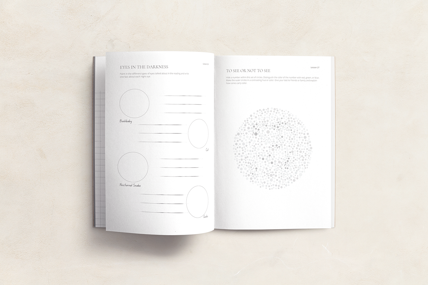 Far Afield Logbook