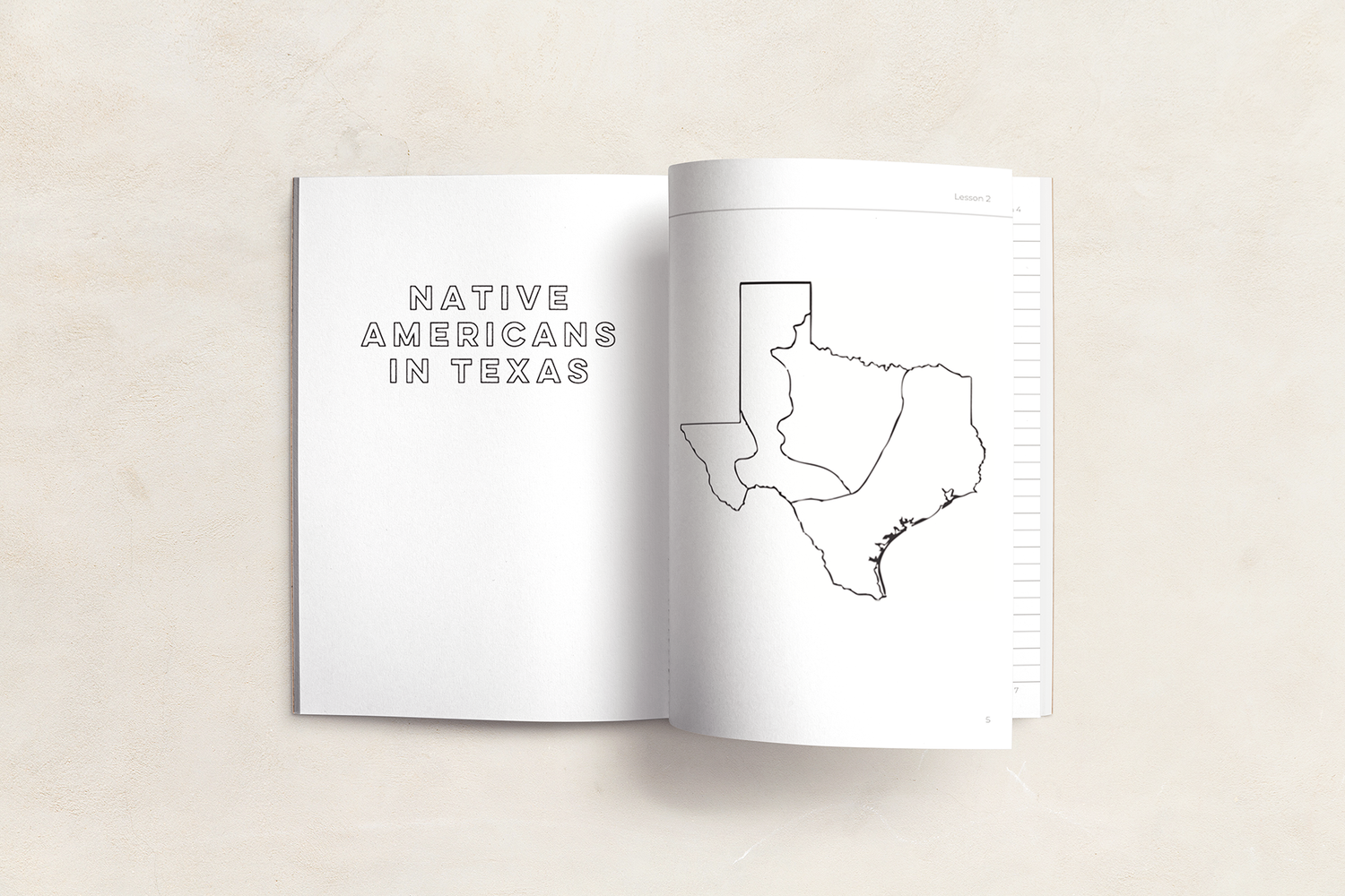 Texas History (4-6)