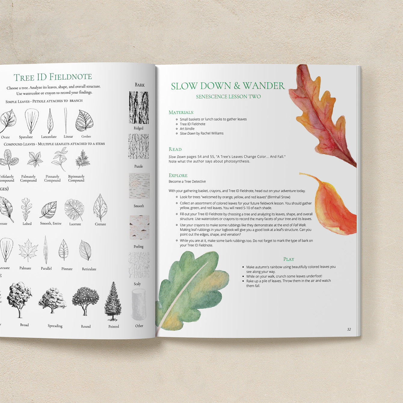Seasons Afield K-4 Teacher Guide