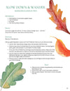 Seasons Afield Nature Study (K-3)