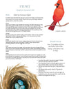 Seasons Afield Nature Study (K-3)
