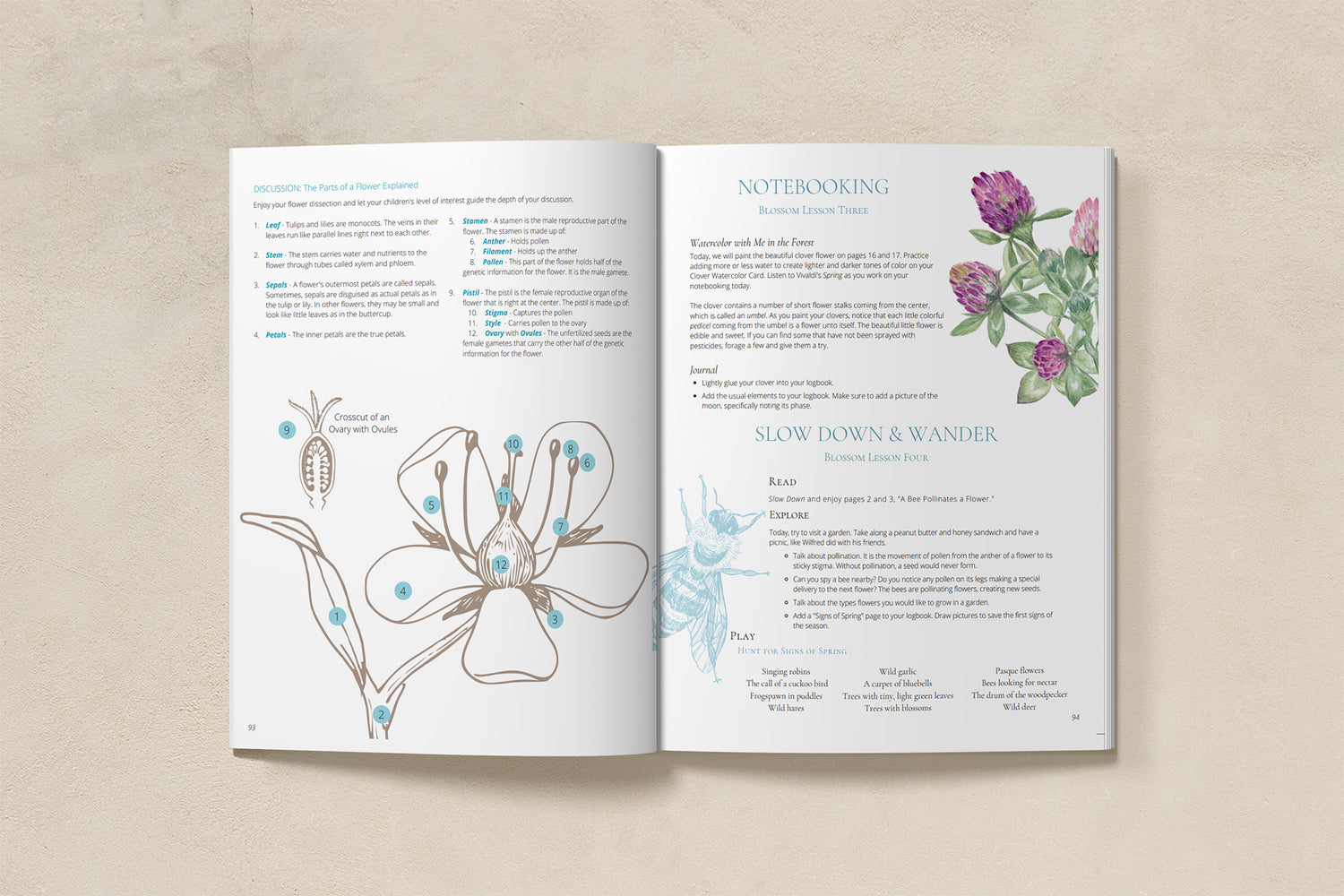 Seasons Afield Nature Study (K-3)
