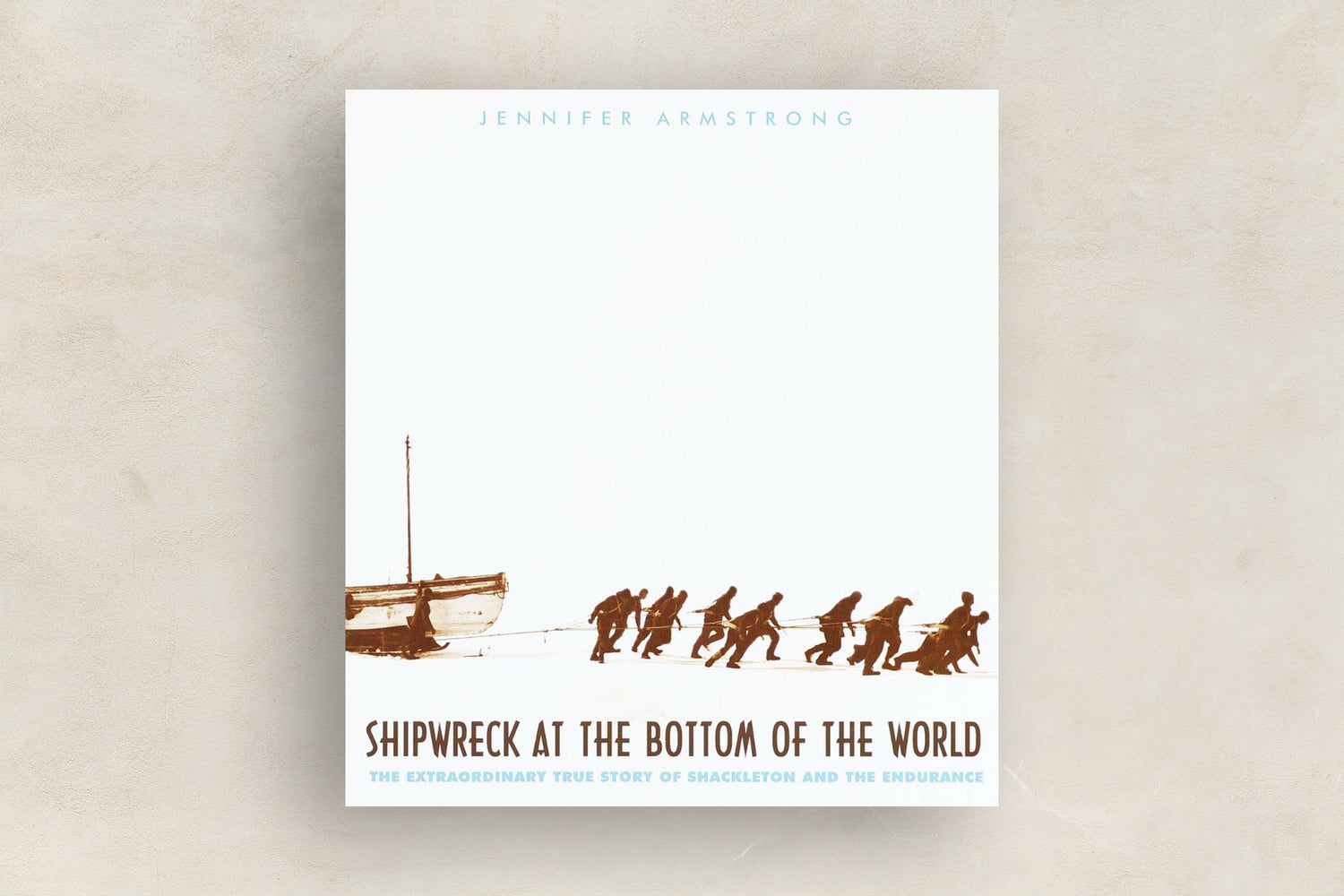 Shipwreck at the Bottom of the World