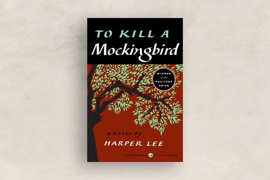 What is the to Kill a Mockingbird About 