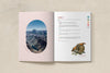 World Geography & Ecology (7-9)