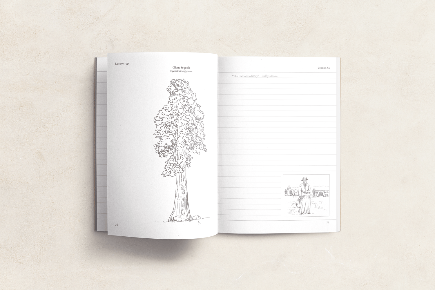 California History narration notebook for 4th, 5th, 6th grade homeschool students by Beautiful Feet Books — with space for written narration, sketching, vocabulary word definitions, and notes