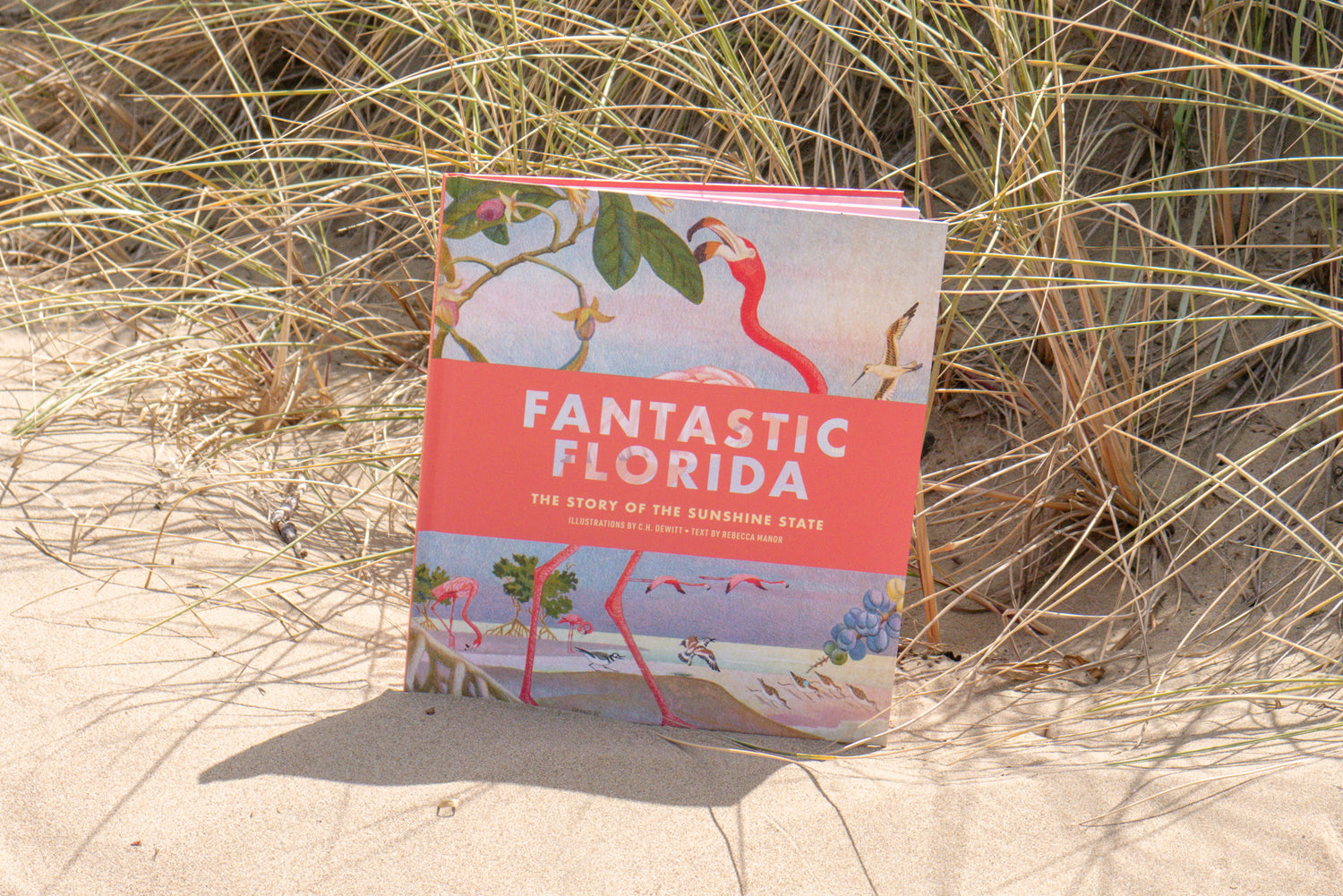 A hardcover book titled 'Fantastic Florida' by Rebecca Manor standing upright on sand in front of beach grass. The cover features a coral-pink title band with white lettering and a pastel illustration of flamingos and coastal scenery.