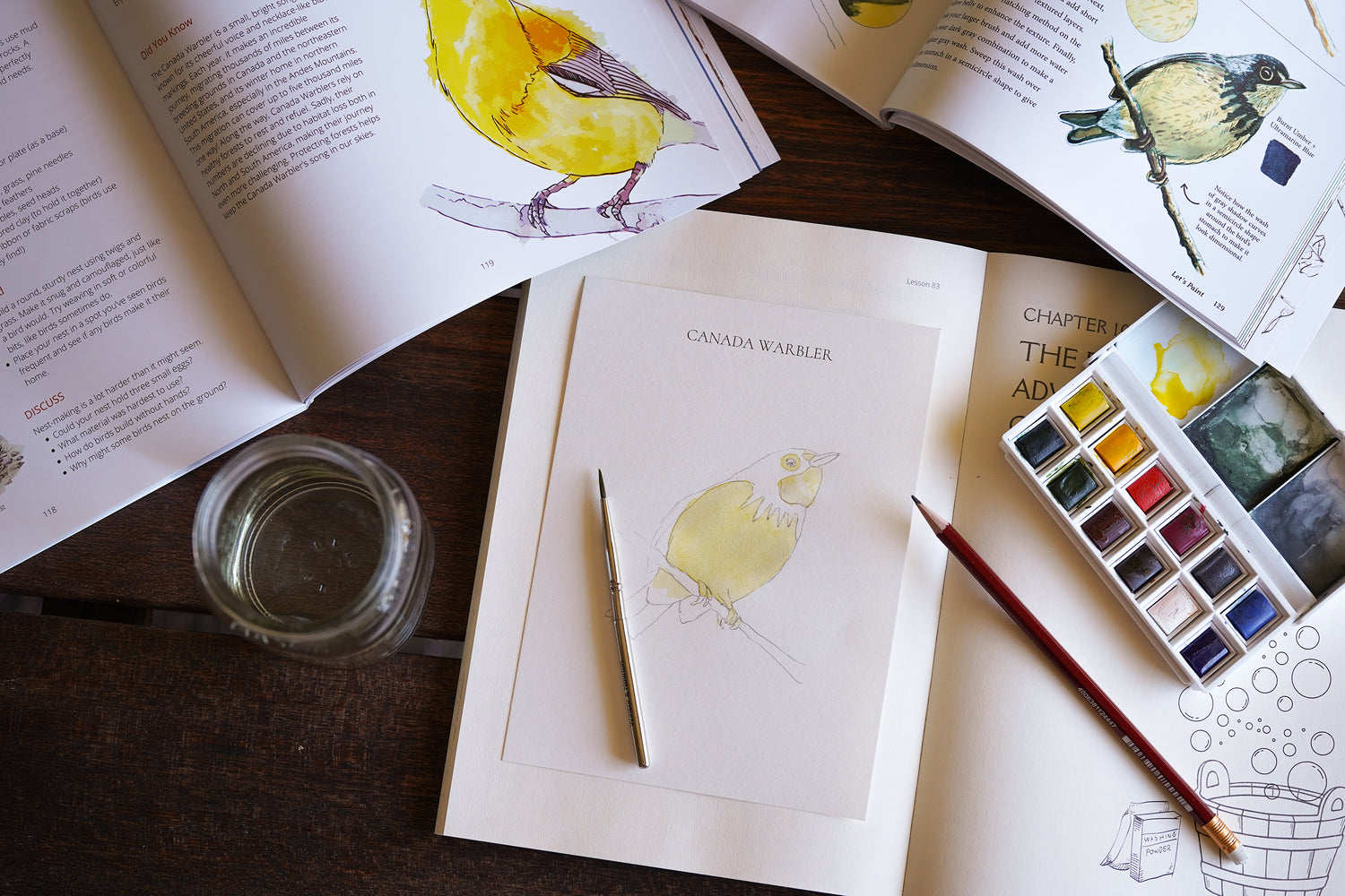 Far Afield watercolor cards — student materials for Beautiful Feet Books natural science homeschool curriculum for grades 4–7