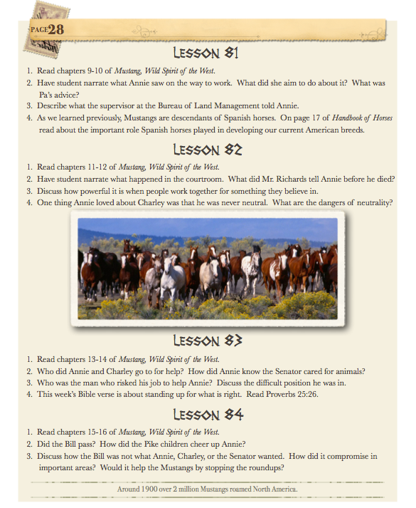 History of the Horse 3-6 Teacher Guide