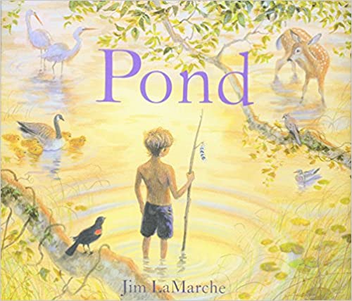 Pond