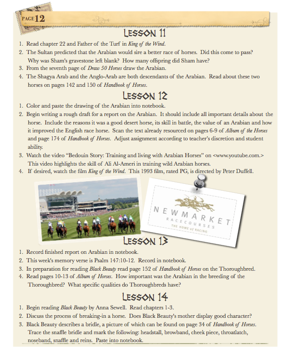 History of the Horse 3-6 Teacher Guide