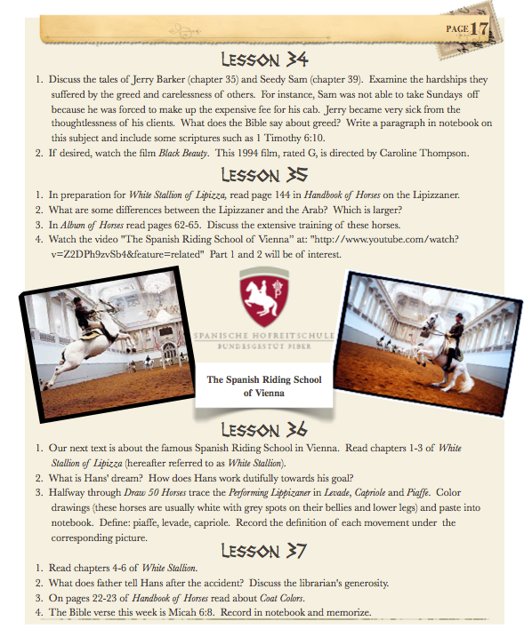 History of the Horse 3-6 Teacher Guide